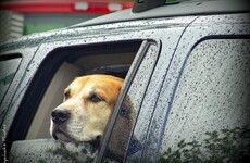 The Ultimate Rainy Day Driving Playlist