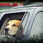 The Ultimate Rainy Day Driving Playlist