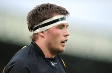 Connacht bolster second row options by signing Irish-qualified lock from Wasps