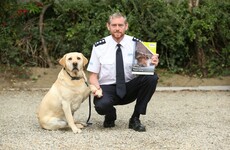 3,000 investigations into allegations of abuse of animals last year