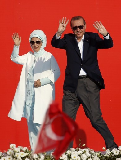 Fox In A Turkey Coup Thejournal Ie