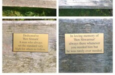 These puntastic bench signs in Marlay Park are a true Dublin treasure