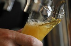 Craft beer takeover to continue as Irish college offers first ever brewing course