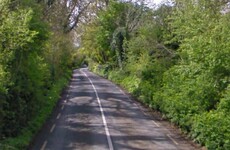 Man in his early 20s dies after car hits ditch in Limerick