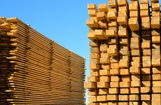 Man arrested over theft of timber from Coillte land