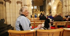 They held a mass in Christ Church for therapy dogs today and the pictures are WONDERFUL