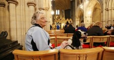 They held a mass in Christ Church for therapy dogs today and the pictures are WONDERFUL