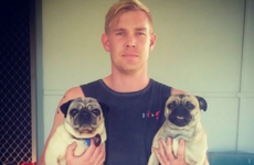 People are loving this guy's story about losing his pug, then ending up with two