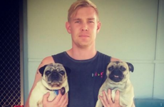 People are loving this guy's story about losing his pug, then ending up with two