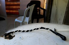 US authorities charge 17 people with sex trafficking of hundreds of women
