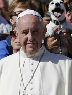 The Pope was brilliantly photobombed by a happy dog at the Vatican