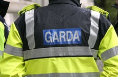 No evidence of Garda misconduct in case where man shot himself in head