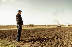 Tillage farmers in Ireland are 'stressed, anguished and in pain' after a bad harvest year