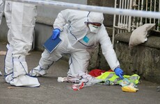 23-year-old man arrested over fatal stabbing of Dun Laoghaire student