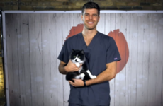 Everyone fell in love with this vet on First Dates last night