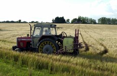 Investment in sheep and protection from Brexit: Here's what the Budget means to farmers