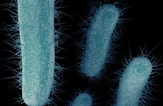 Tallaght Hospital restricts visitors over outbreak of antibiotic-resistant infection