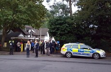 Zoo visitors locked down in café as gorilla escapes enclosure