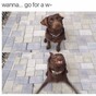 Here's what's going viral right now: Saturday