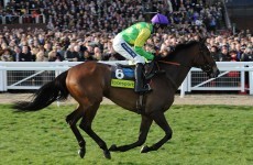 Nicholls: Kauto and Master Minded set for King George showdown