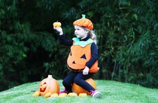 Poll: Are you dressing up for Halloween?