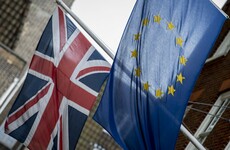 Pro-EU activists should be convicted of 'treason', says Tory politician