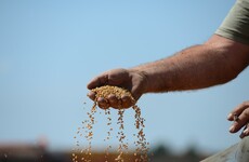 Tillage farmers advised to share concerns as they pay bills after "perfect storm"