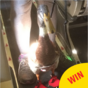 This guy had an 'emotional support duck' on his flight and it was strangely adorable