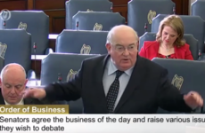 Staff 'weeping' over plans to temporarily rehouse Seanad in wing of National Museum