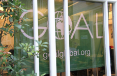 Goal appoints board member of Irish Water parent company as boss after US investigation