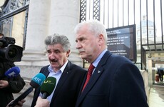 Trouble brewing as Independent Alliance still want a free vote on Repeal the Eighth bill