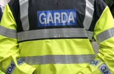 Court hears garda found gun at end of trail from murder accused's home