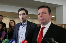 Alan Kelly wants state access to private hospitals to avoid 'hell in our emergency departments'