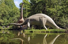 Paleontologists uncover new species of dinosaur in Australia