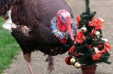 Column: It’s time to take the turkey off the Christmas table