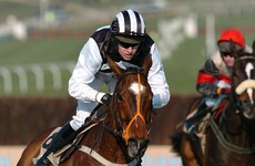 Two-time Cheltenham Champion Chase winner Moscow Flyer dies