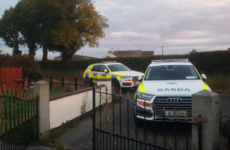 Man arrested after gardaí search 6 premises in 3 Leinster counties