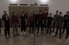 The DCU Glee Club's acapella version of The Fields of Athenry is just class