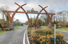 Nine people injured after House of Horrors staircase collapse at Tayto Park