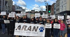 Protest against animal cruelty as only two people convicted of cruelty to animals so far this year