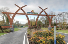 "The people behind us suddenly dropped": Witnesses describe Tayto Park stairs collapse