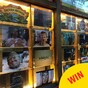 This Dublin pub has a truly terrifying Trump-themed Halloween display