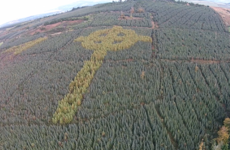 This incredible drone footage of a Celtic cross in a Donegal forest is going viral