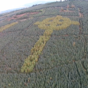 This incredible drone footage of a Celtic cross in a Donegal forest is going viral