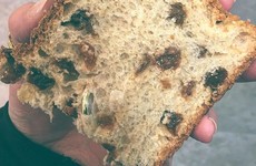 Fighting over the ring in the barmbrack is the greatest Irish Halloween tradition