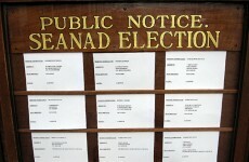 Seanad could operate on a voluntary basis  - FG Senator