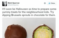 This has to be the most evil prank you can play on trick or treaters this year