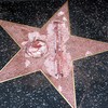 Man who defaced Trump's Hollywood star with a sledgehammer arrested