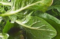 You'll be strong to the finish if you grow yourself spinach (to paraphrase a great man)