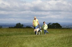 Assistance dogs for children with autism available again after three-year wait